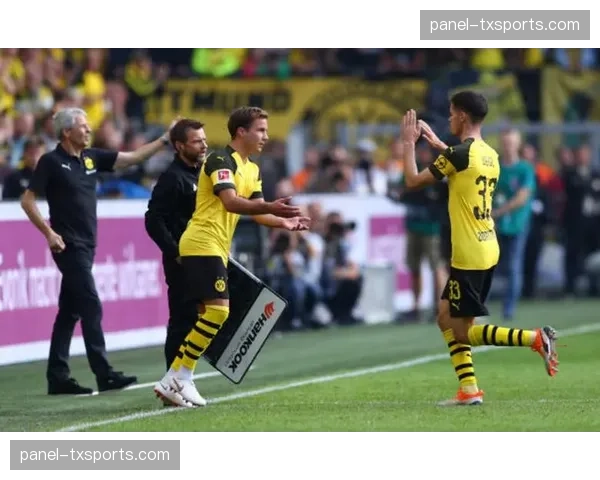 “奔跑吧,足球”公益活动落幕,德甲各队球星领跑慈善里程 “奔跑吧,足球”公益活动落幕,德甲各队球星领跑慈善里程